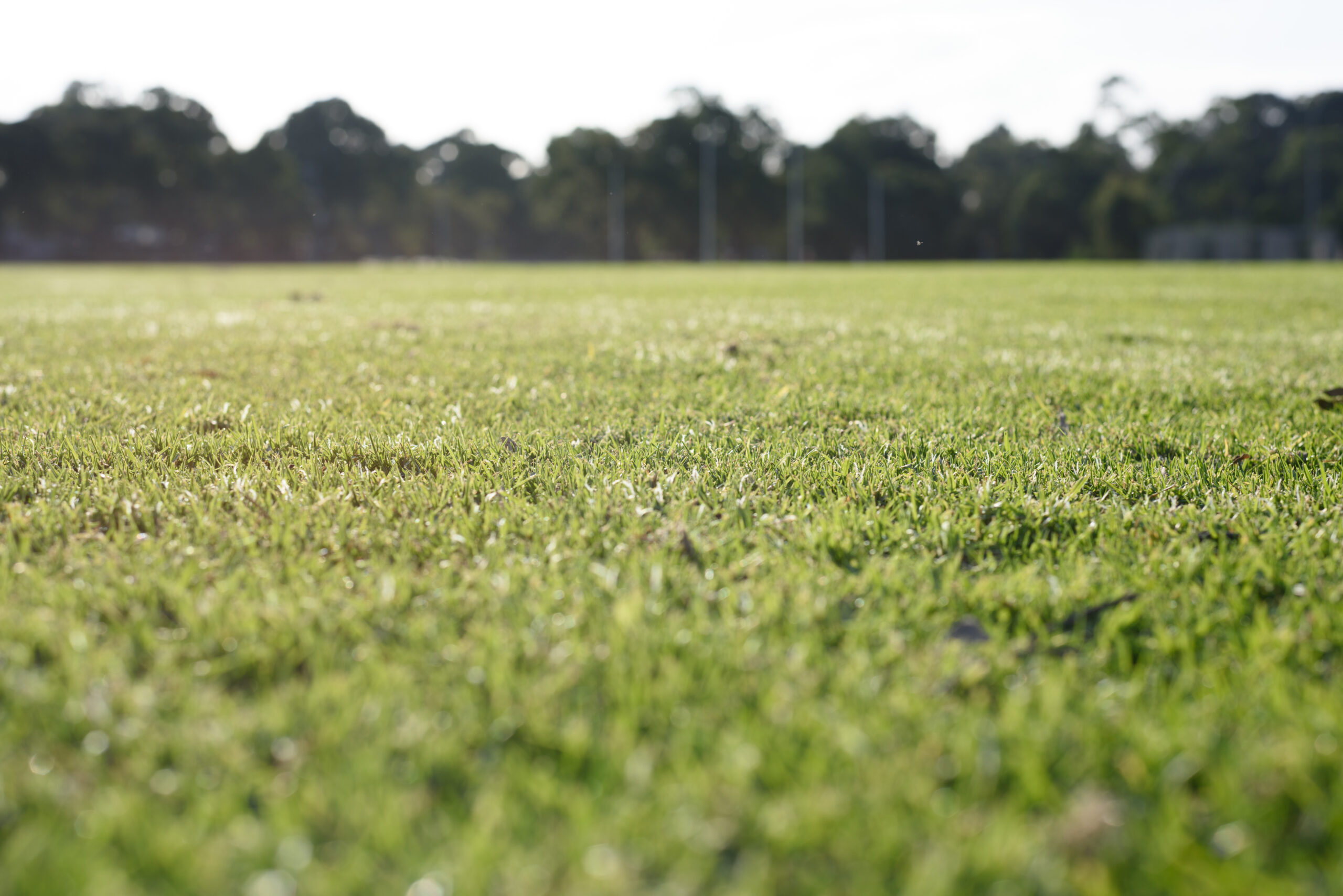 Gramados ruins: por que eles aumentam o risco de lesões no futebol?